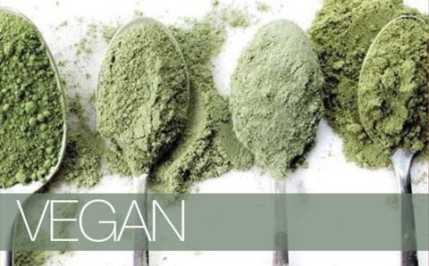 Vegan Friendly